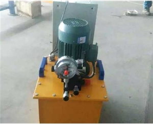 福建标准电动泵供应生产