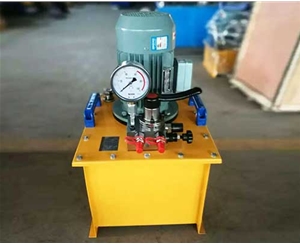 福建标准电动泵生产厂家供应